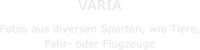 VARIA Fotos aus diversen Sparten, wie Tiere, Fahr- oder Flugzeuge