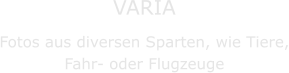 VARIA Fotos aus diversen Sparten, wie Tiere, Fahr- oder Flugzeuge