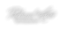 Richard Auer photographer